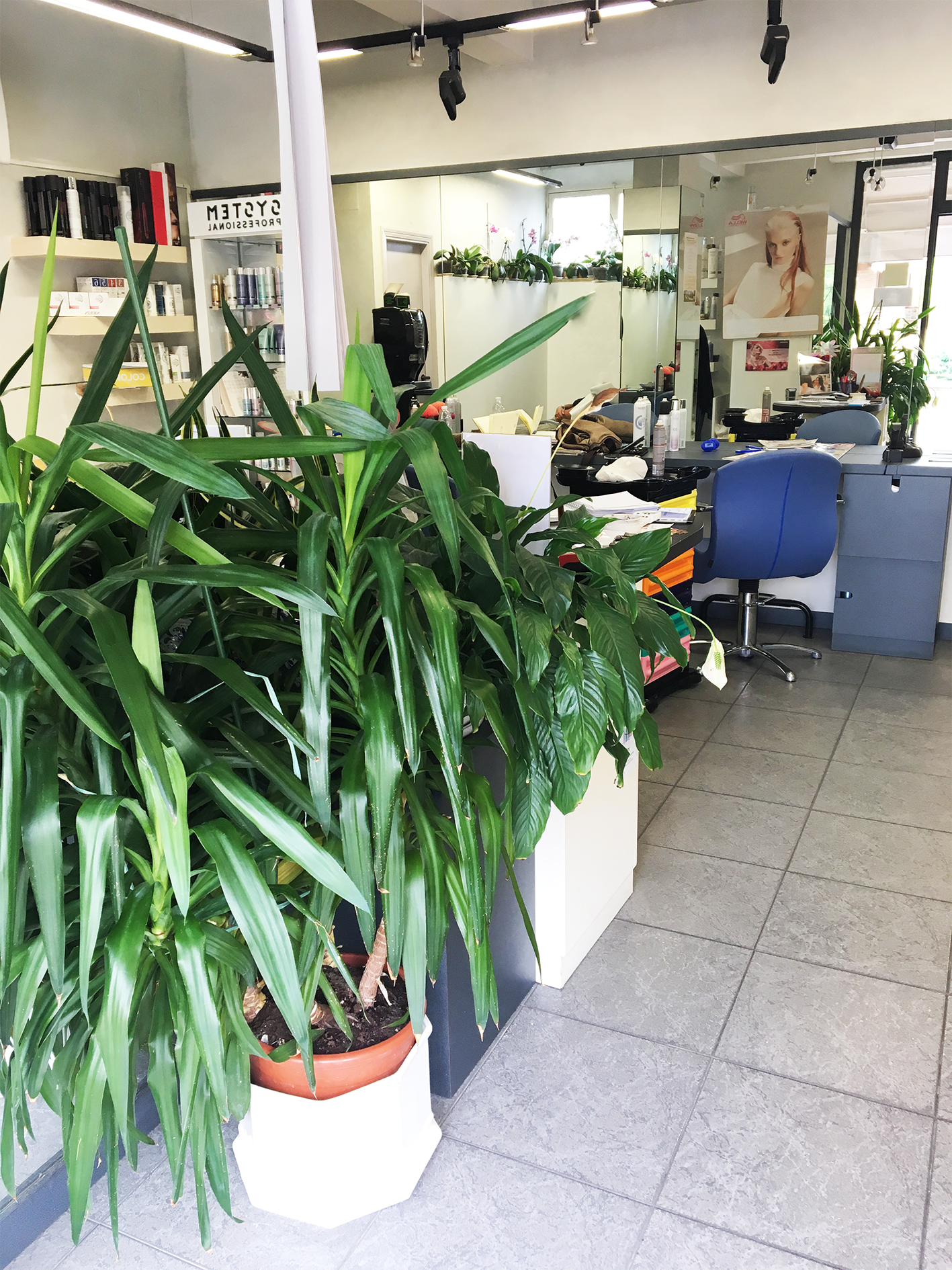 ingresso-interno di parrucchiere linea 3 asiena e monteriggioni